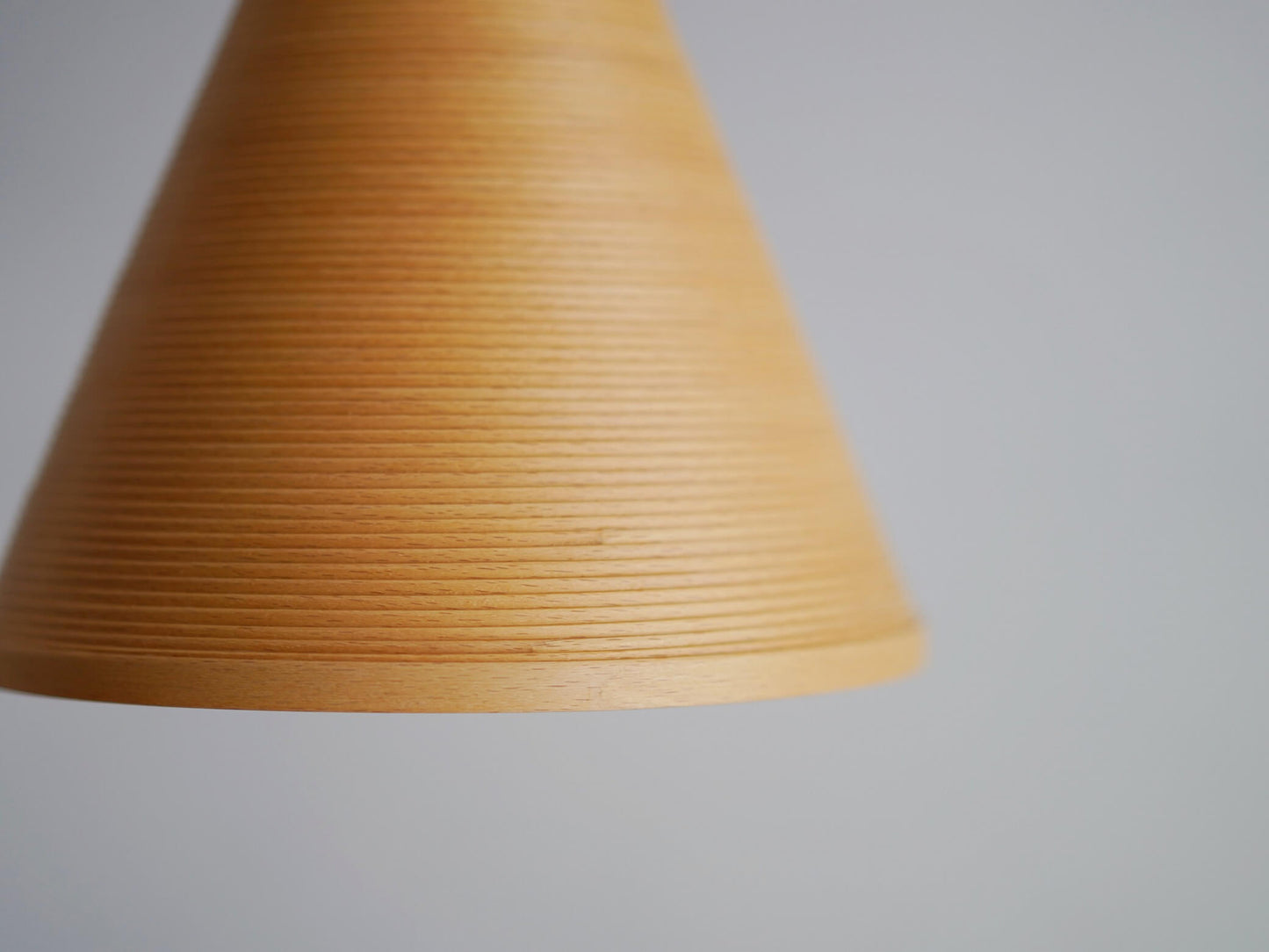 ブナコ ペンダントライト BL-P371 照明 / BUNACO Pendant Lamp